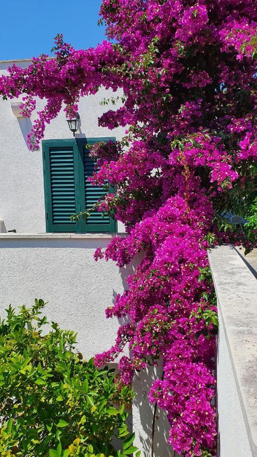 Apartman Filis Hvar Town Eksteriør bilde